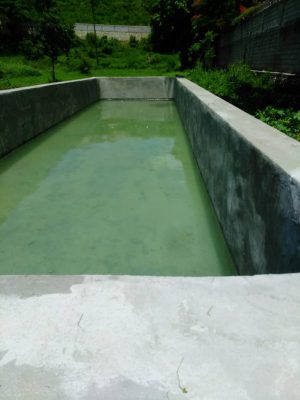 Fish Farming
