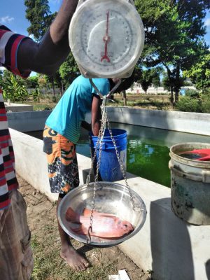 Fish Farming