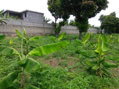 General Farming