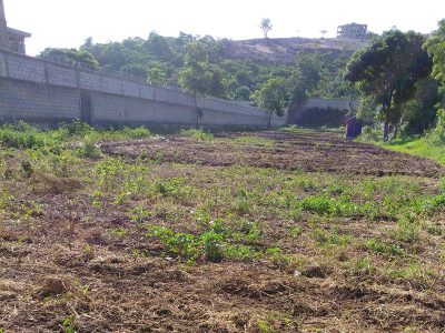 General Farming