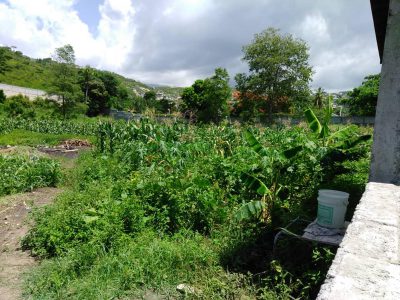 General Farming