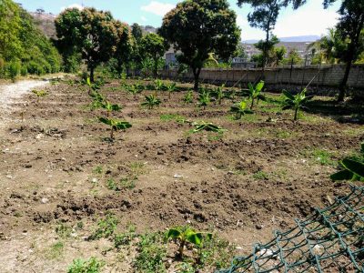 General Farming