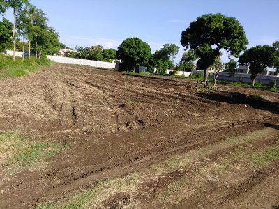 General Farming