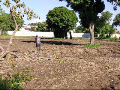General Farming