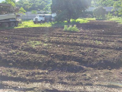 General Farming