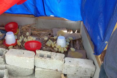 Poultry Farming